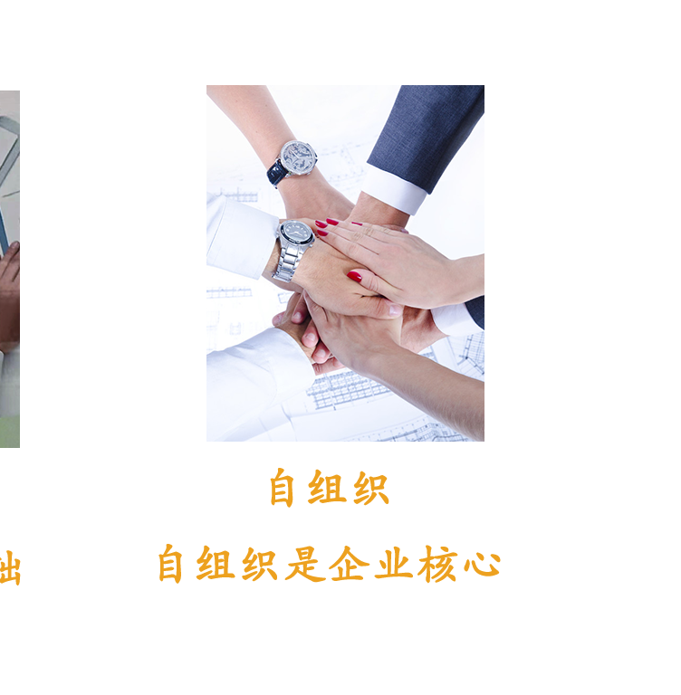 青島澳銳安防科技有限公司